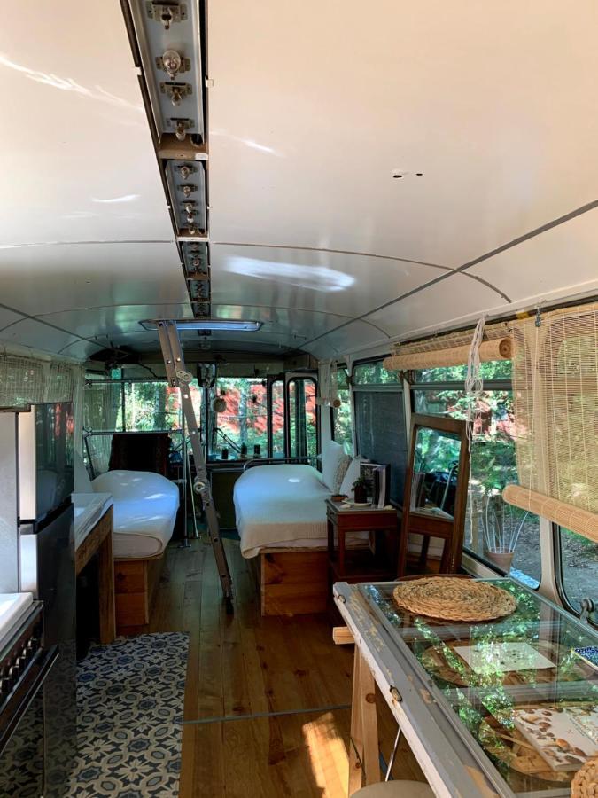 Magic Roof Top Bus With Big Bath In The Tree Forest! Mimizan Exterior photo